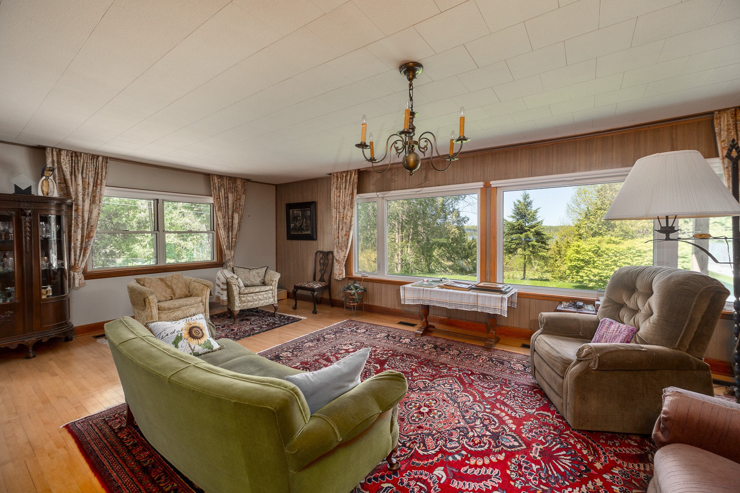 Cozy living room featuring green sofa, patterned rug, and large windows with scenic views. Perfect for showcasing home comfort and design.