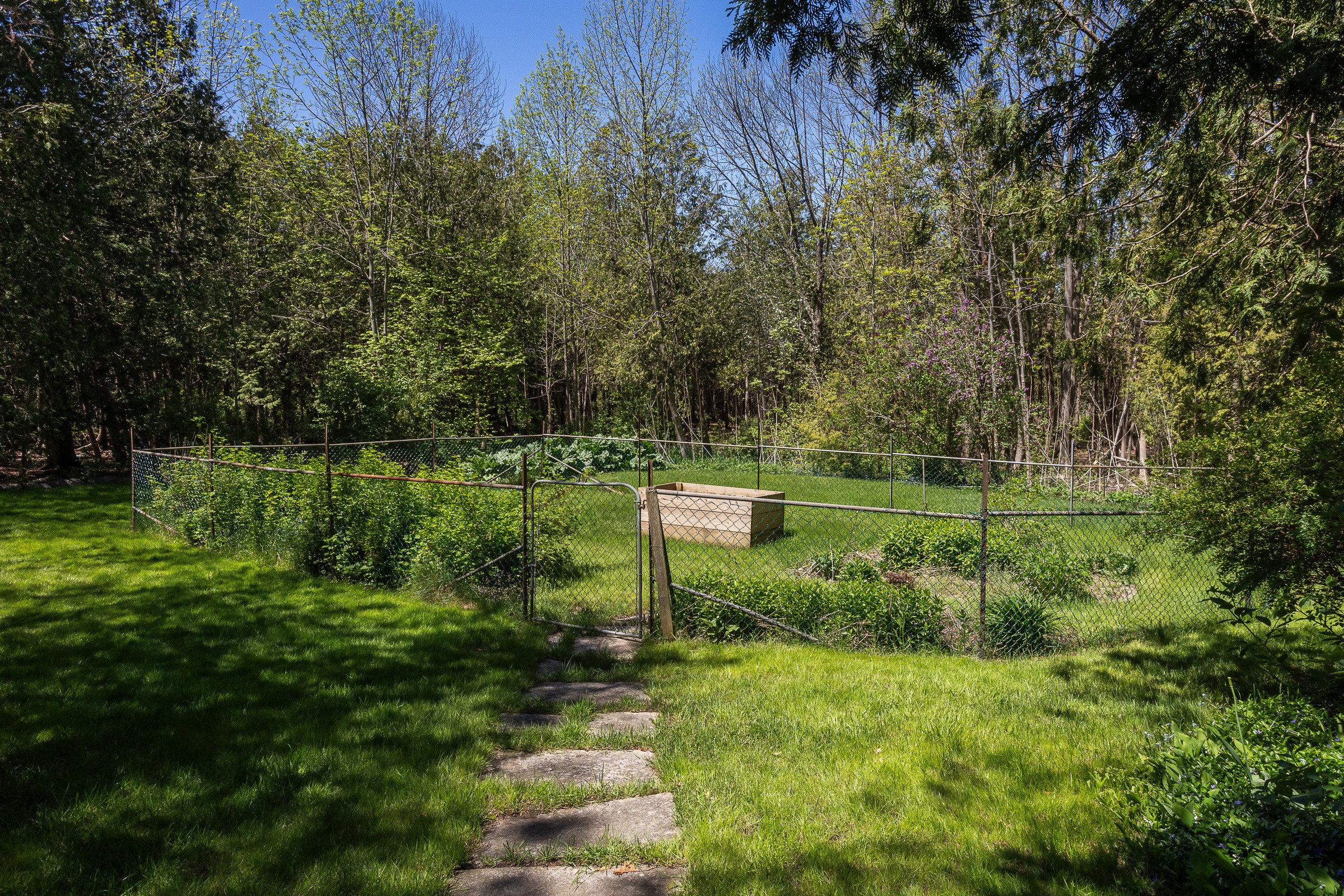 A sunlit backyard with a fenced garden area, featuring green foliage and a wooden raised bed, surrounded by trees and grassy pathways.